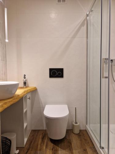 Fotografie z fotogalerie ubytování Studio na Wyspie Pasieka v destinaci Opolí