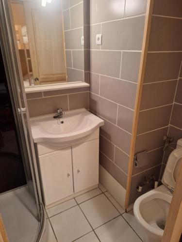 un bagno con lavandino e WC di Appartement au pied des pistes ad Arette