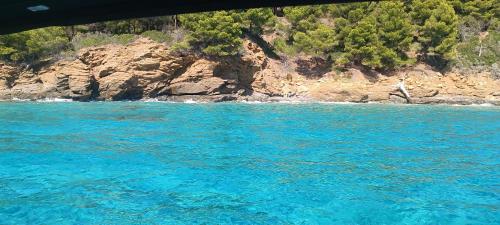 Φυσικό τοπίο κοντά σε αυτό το διαμέρισμα