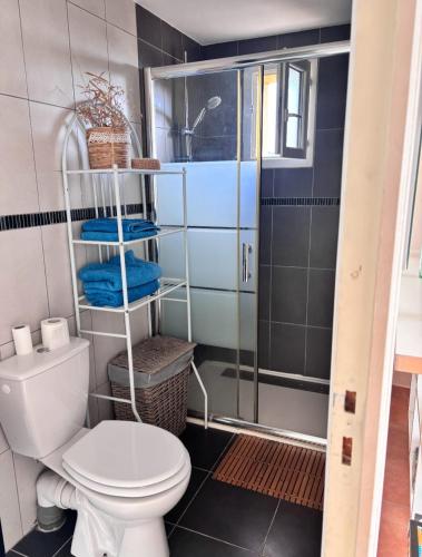 Appartement Elba في San-Martino-di-Lota: حمام مزود بمرحاض ودش