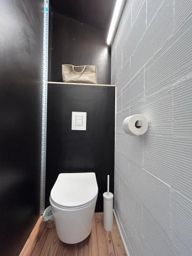 een badkamer met een wit toilet en een zwarte muur bij Logement avec terrasse in Toulouse