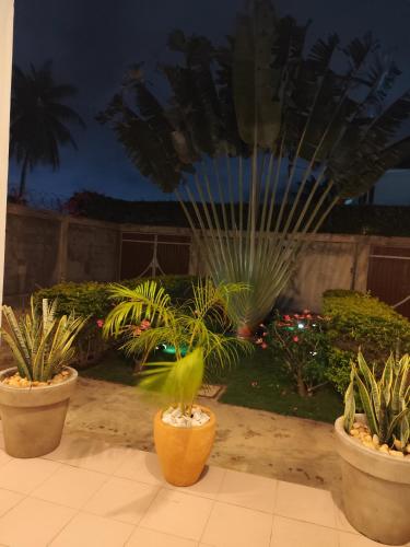 a group of potted plants in a garden at night at Chez Fèmi, route des pêches in Cotonou