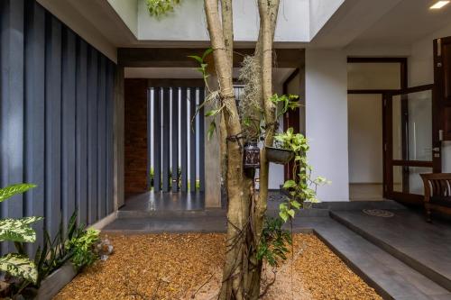 Κήπος έξω από το 4 Bed Rooms with ACs House in Pannipitiya