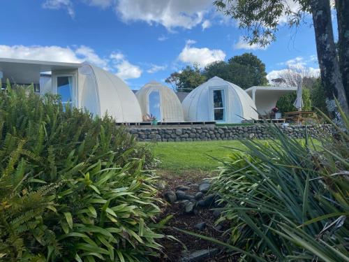 a row of domed tents in a garden at Rainbow Rose in Orere Point