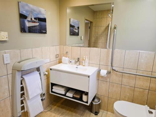 a bathroom with a sink and a toilet and a mirror at Blue Ridge Studios and Bed & Breakfast in Te Anau