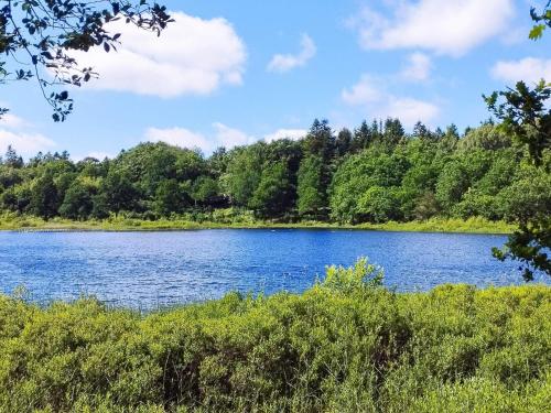 a large blue lake with trees in the background at 4 person holiday home in Aars-By Traum in Års