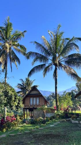 a house with two palm trees in front of it at Dewi Rinjani Homestay in Tetebatu