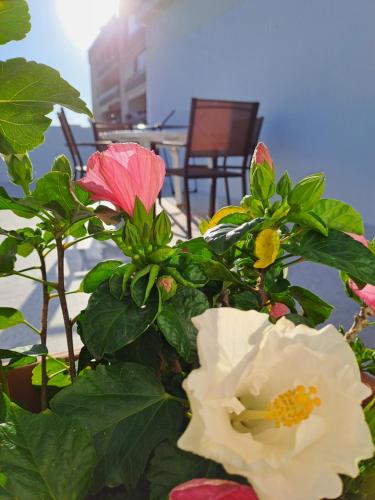 a group of flowers in front of a table at San Michele Apartment in Bari