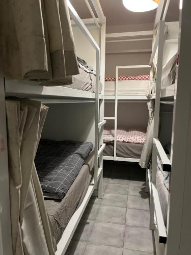 a room with several bunk beds in a room at SwissPorto Guest House in Porto