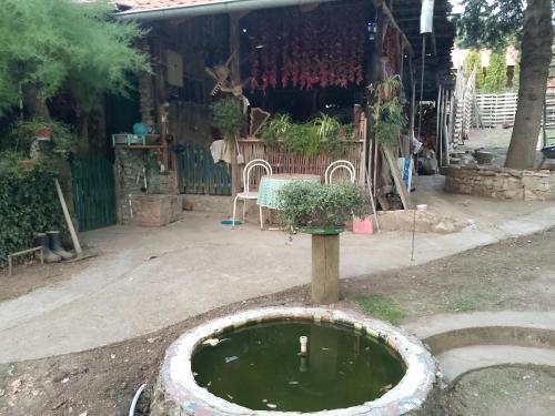 a bucket of water with a potted plant in a yard at Etno kuca Cane in Bela Palanka