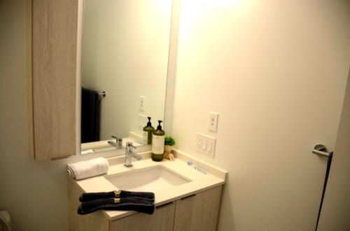 a bathroom with a sink and a mirror at Brand-New Mississauga Condo! in Mississauga