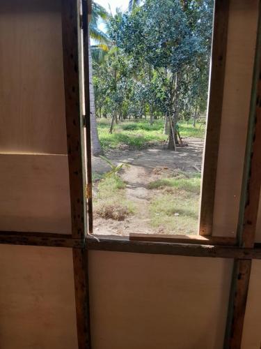Zahrada ubytování Sollo-Sollo Coco Farm Stay