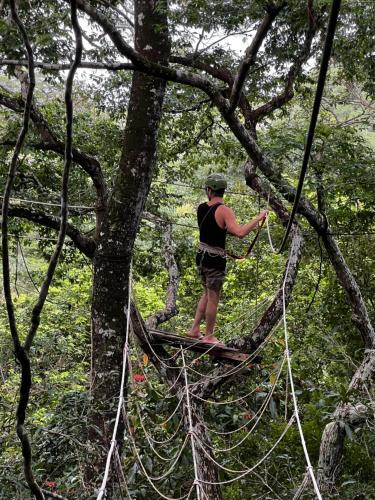 a person on a suspended bridge in the forest at CasAmor Hostel in Alter do Chao