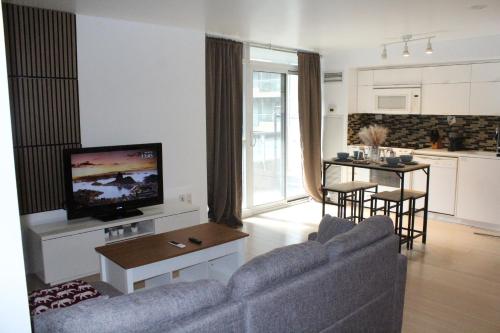 a living room with a couch and a tv and a kitchen at The Nest in Toronto