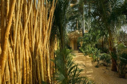 a bamboo fence with palm trees in a greenhouse at Buena Vida Macao 7 habitaciones in Salado