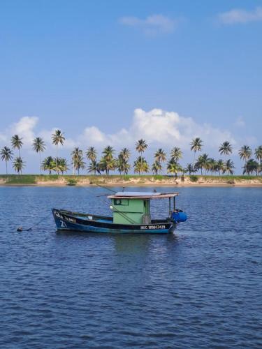 a boat in the water with palm trees in the background at FLAT BEIRA MAR BARRA DE JANGADA ANDAR ALTO JABOATão in Recife