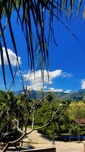 a palm tree with a view of a mountain at Eco Moringa Garden in Banyuwedang