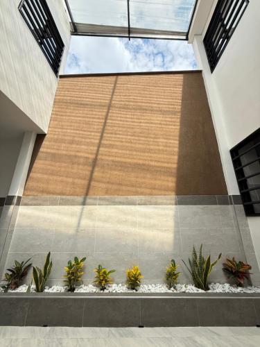 a courtyard with plants in front of a building at Coliving C33- Apartaestudios En Palmira Centro in Palmira