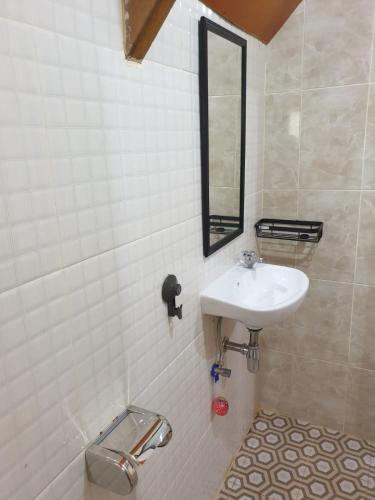 a bathroom with a sink and a mirror at Freddies Villas Sabang in Sabang