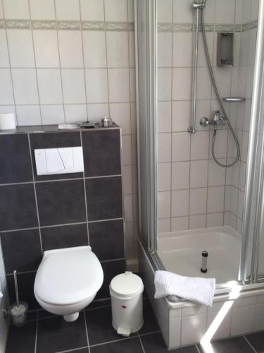 a bathroom with a white toilet and a shower at Hotel Alte Posthalterei in Creuzburg