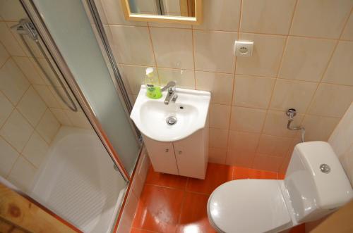 Un baño con lavabo e inodoro en Chowańcówka, en Poronin