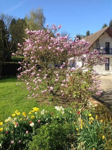 a bush of pink flowers in a yard at Le Sérènity in Le Landin