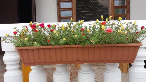 Taman di luar Sweet Home Near Black Sea