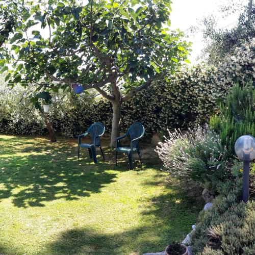 Κήπος έξω από το B&B L'Albero Di Antonia