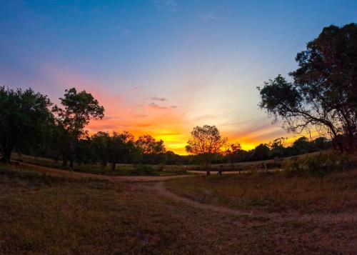 a sunset in a field with a dirt road at Safaria Lodge Wilpattu in Pahala Maragahawewa