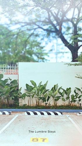 a sign that says the liner stays in front of plants at The Lumiére Stays Sophisticated Escape Mallside Charm in Trece Martires