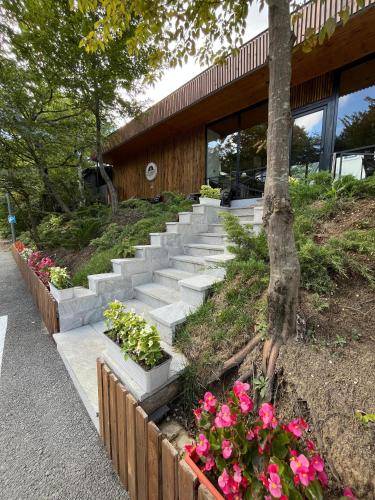 a set of concrete stairs in front of a building with flowers at AFORREST Family Resort in Qusar