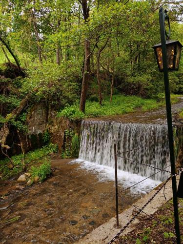 a waterfall in the middle of a forest with a street light at PAMJA Guest House in Bărăşti