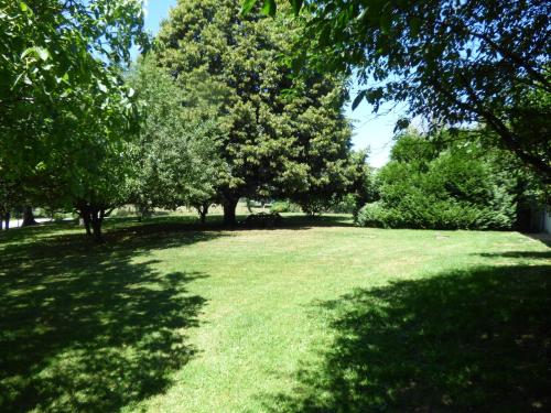 a large grass field with trees in a park at La Closerie in Saint-Nizier-le-Bouchoux