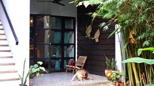 a dog sitting in a chair on a patio at Happiness Villas in El Nido
