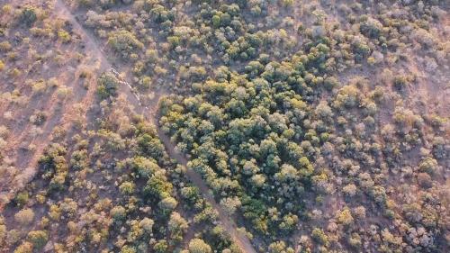 Gallery image of Marlothii Game Reserve in Groot-Marico