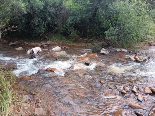 Gallery image of Marlothii Game Reserve in Groot-Marico