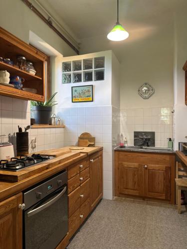 a kitchen with wooden cabinets and a stove top oven at Rustic Cottage & Garden Retreat on Buda Hilltop in Budapest