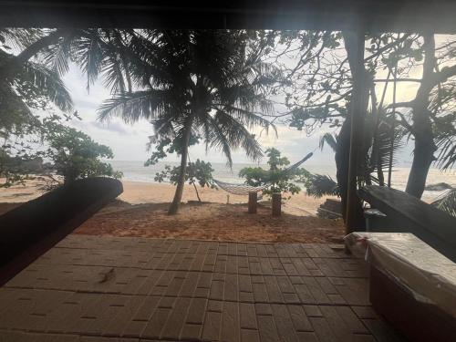 a view of a beach with a hammock and the ocean at Rocks beach house in Kannur
