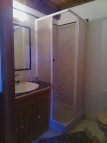 a bathroom with a shower and a sink at La maison la Borie in Baffie