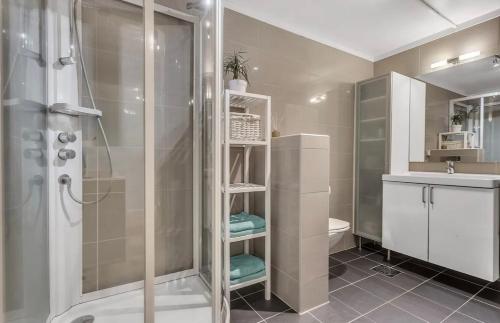a bathroom with a shower and a toilet and a sink at Fjord and Mountain View in Tromsø