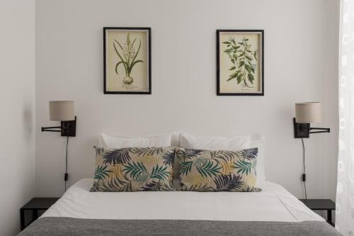 Saldanha Heights 3BR City Apartment
