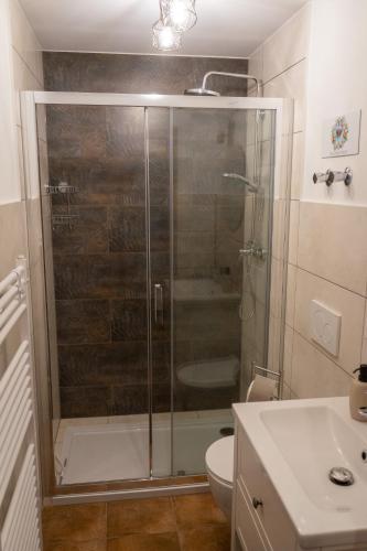 a bathroom with a shower with a toilet and a sink at Apartment "Erde" im Ferienhaus am Waldbach in Kirchzell