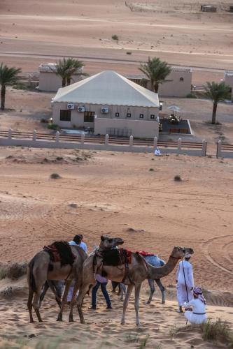 a group of people walking three camels in the desert at Modern Desert Gate Resort Bidiyah in Al Raka