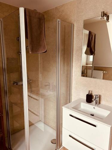 a bathroom with a shower and a sink at Ferienwohnung Hotel Preyt in Holtland