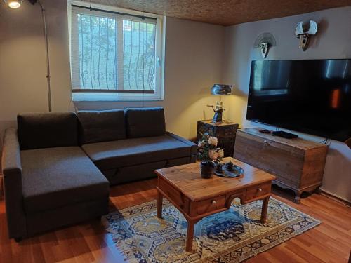 a living room with a couch and a tv at ANTALYA KALEİÇİ MÜSTAKİL BAHÇELİ ev in Antalya