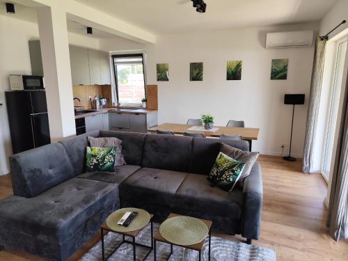 a living room with a couch and a kitchen at Lawendowy domek in Iława