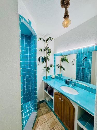 Studio agréable de 39m2 avec terrasse 15m2 photo 3