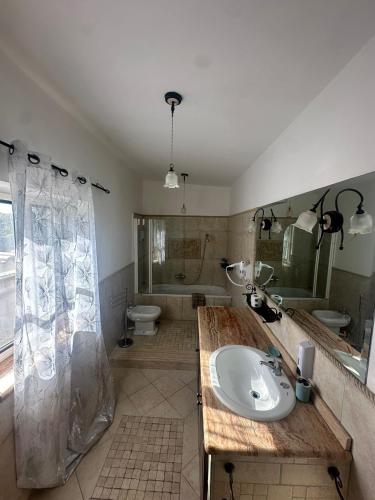 a bathroom with a sink and a shower and a toilet at Villa Lelli 2 in Rome