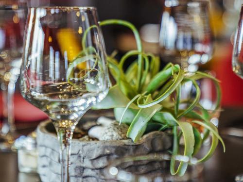 a glass of wine next to a potted plant at ibis Styles Douai Gare Gayant Expo in Douai