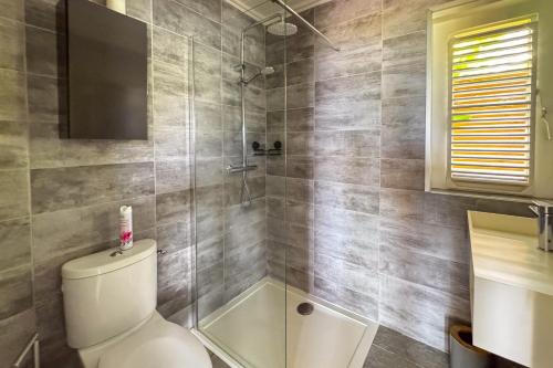 a bathroom with a toilet and a glass shower at Lodge 2 - Hibiscus - Jaccuzi Privé in La Plaine